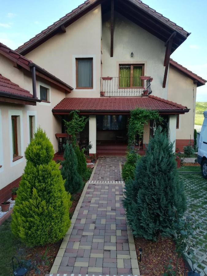 Casa Doina Apartment Baile Felix Exterior photo