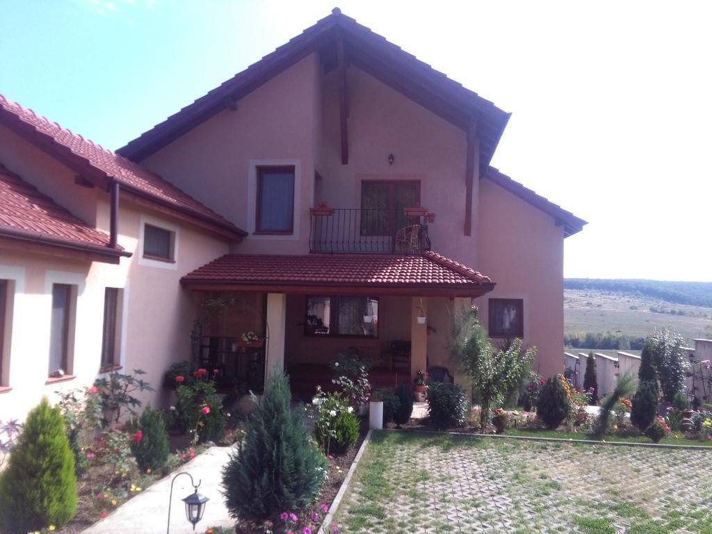 Casa Doina Apartment Baile Felix Exterior photo