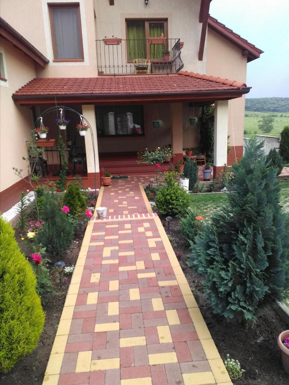 Casa Doina Apartment Baile Felix Exterior photo